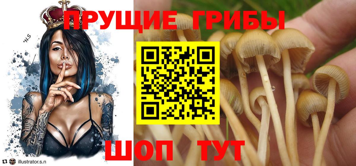 Псилоцибиновые грибы MAGIC MUSHROOMS  Вход с VPN  Белореченск 