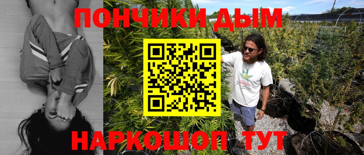 Конопля сатива Белореченск