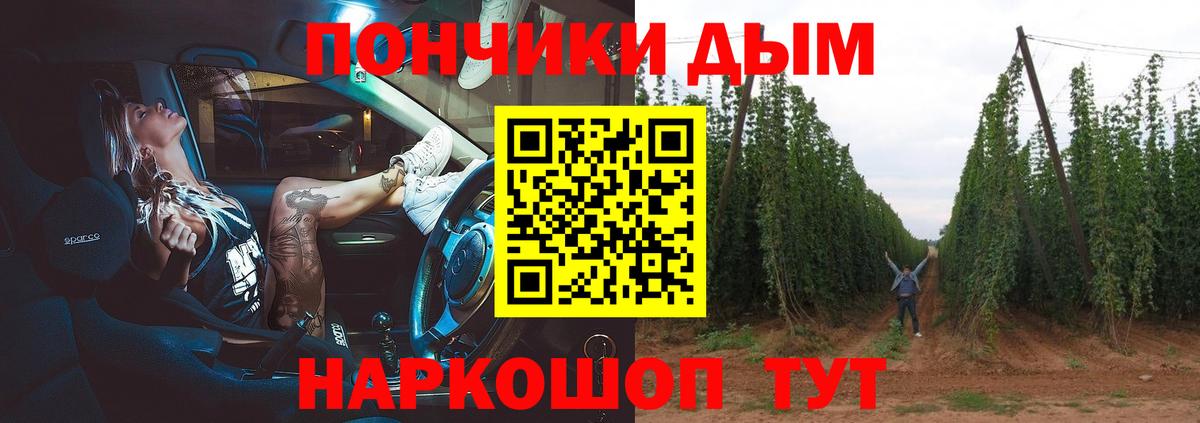 МАРИХУАНА Bruce Banner  Бошки марихуана ГИДРОПОН  МАРИХУАНА семена  Белореченск 